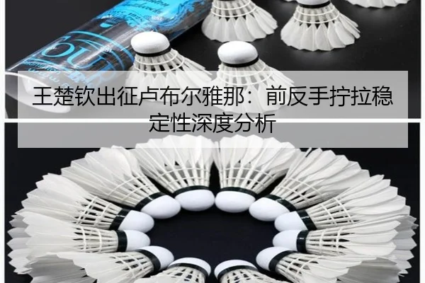 王楚钦出征卢布尔雅那：前反手拧拉稳定性深度分析
